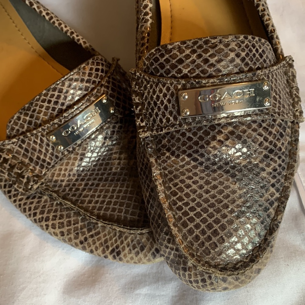 Coach New York Fredrica loafer gray snake skin silver tag size 8 comfortable